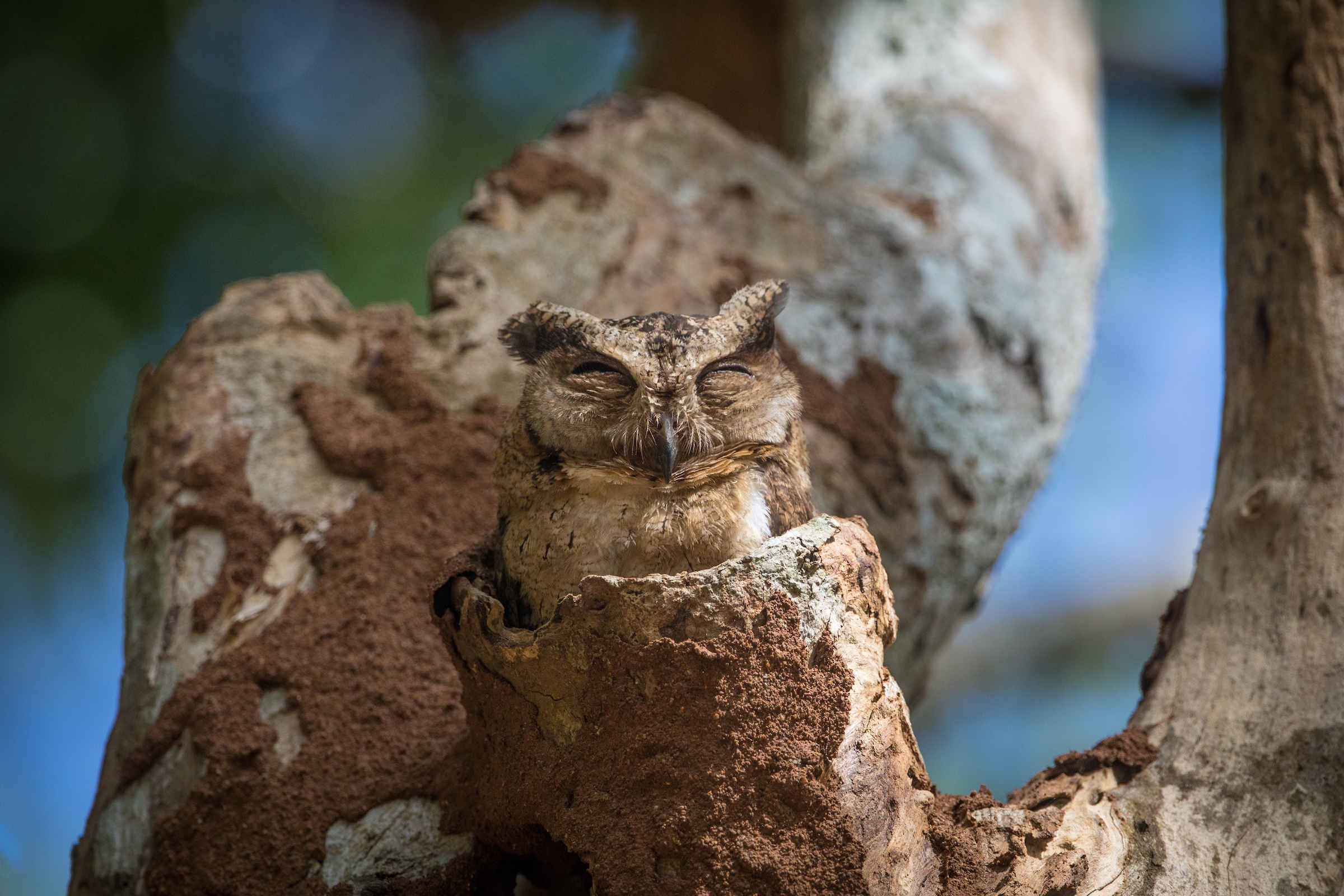 Sri Lanka Wildlife Photography Tour - Wild Images