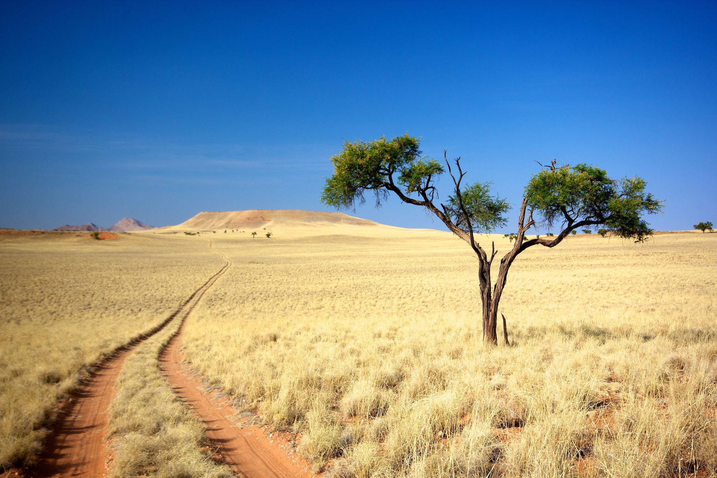 Wild Images Photography Tours | Namibia Photography Tours - Namibia ...