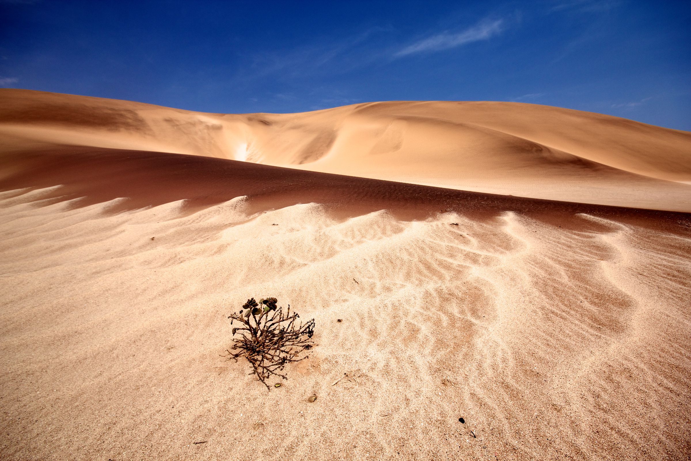 Garnet sand dunes in Dorob National Park, Namibia