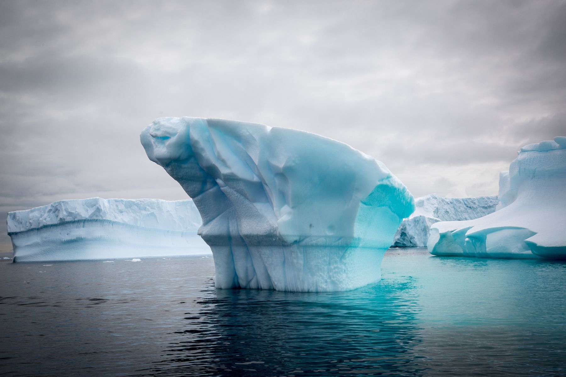 Blue icebergs are commonplace in Antarctica