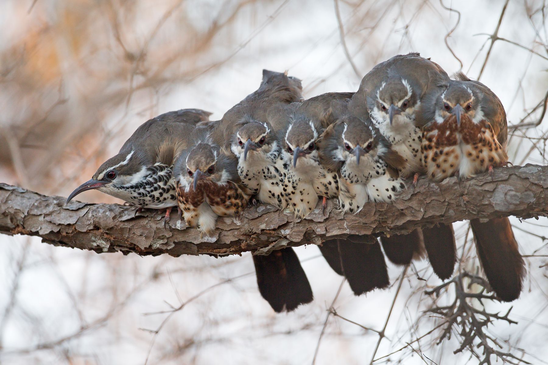 madagascar wildlife tours