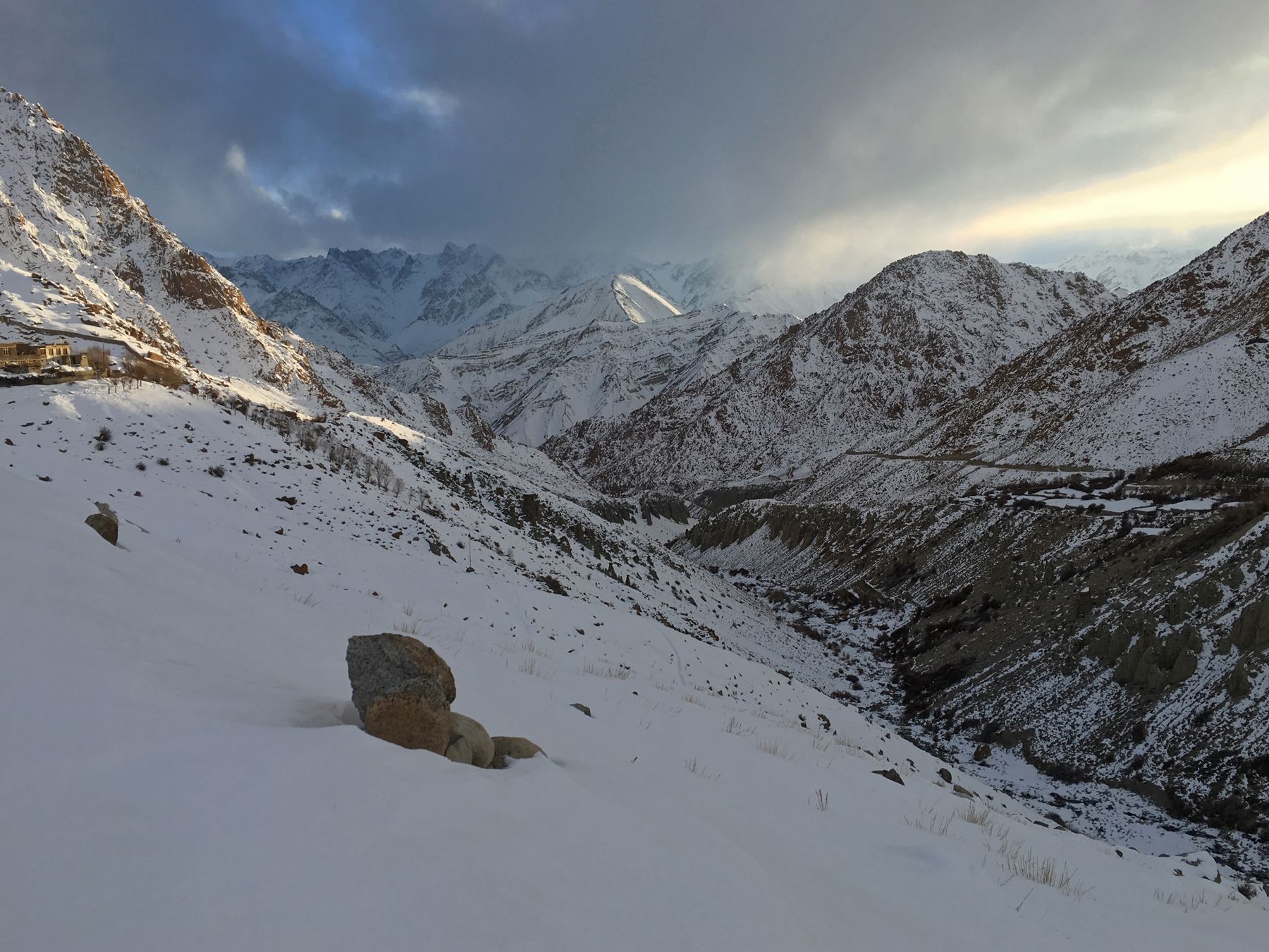 Snow Leopards of Ladakh Photography Tour Report 2017 - Wild Images ...