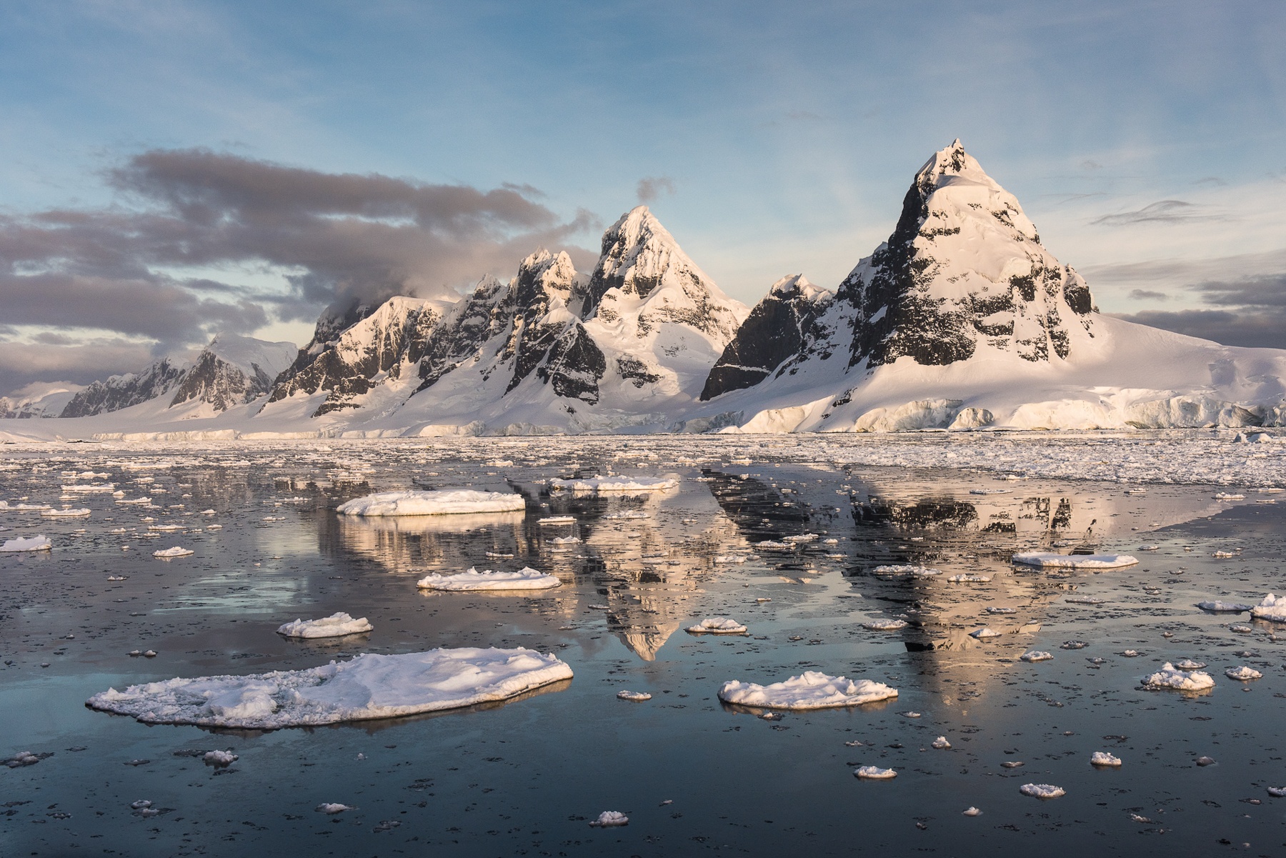 Antarctica Photography Tours - Antarctica Wildlife Photography Holidays