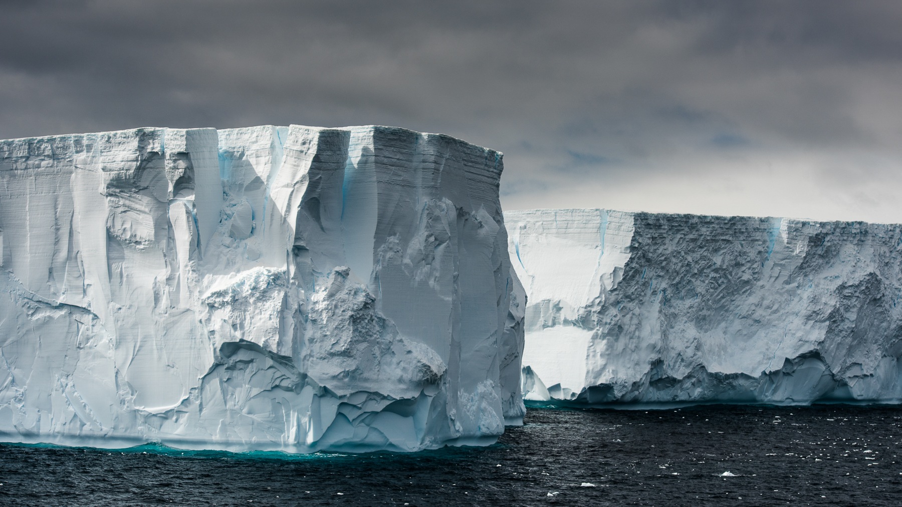 Antarctica Photography Tours - Antarctica Wildlife Photography Holidays