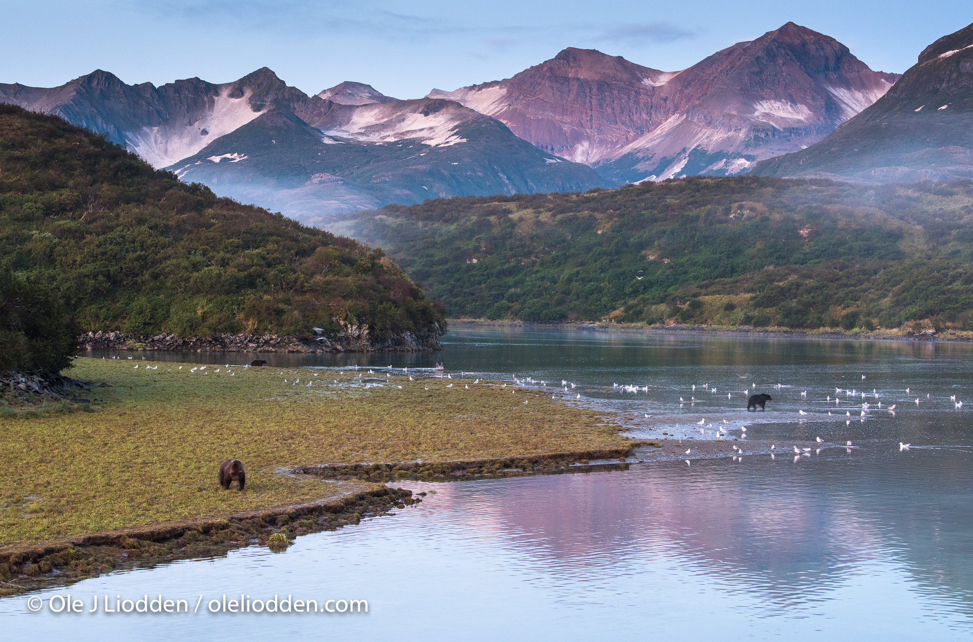 Alaskan landscapes are legendary and Katmai is no exception