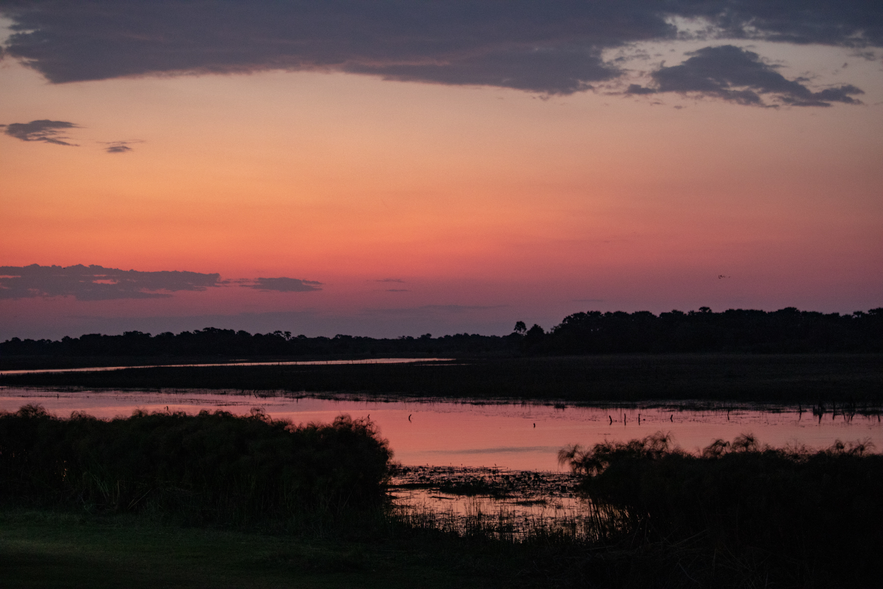 Botswana's Okavango at dusk (image by Mark Beaman)