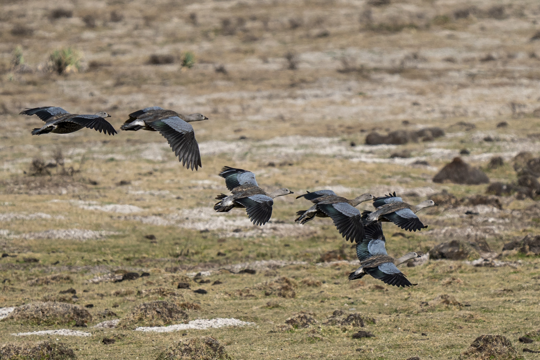 Wild Images Photography Tours | Ethiopia Wildlife Photography Tours ...