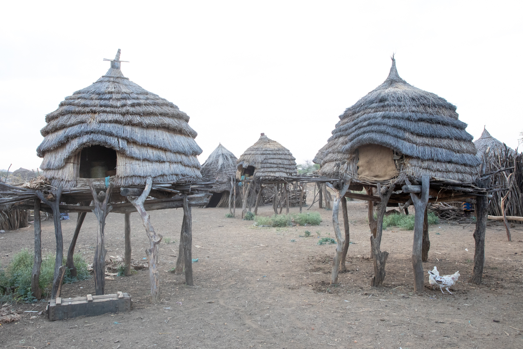 South Sudan Photography Tours - Mundari, Toposa - Wild Images