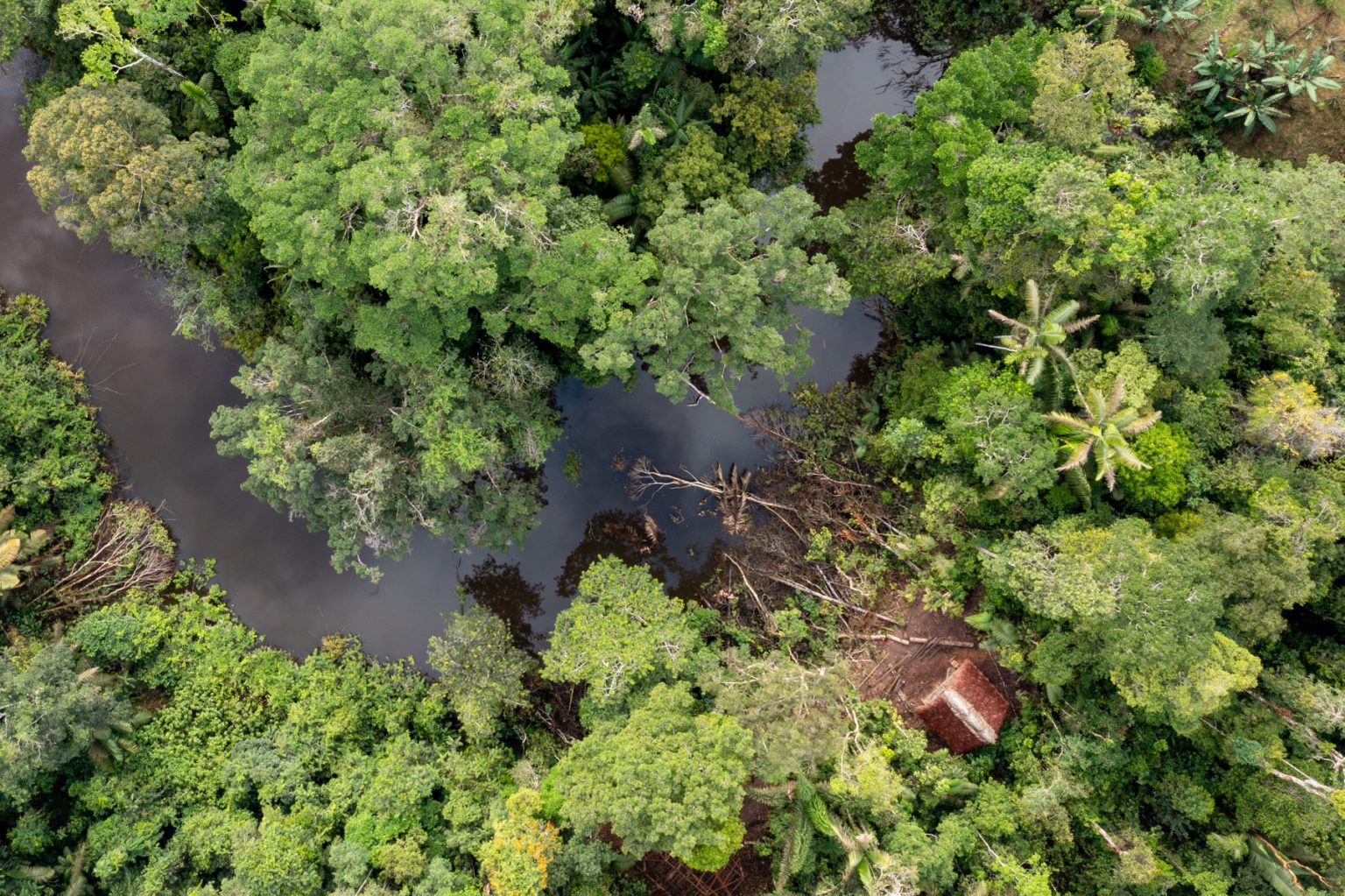 Waorani amazon tribe photography reconnaissance report