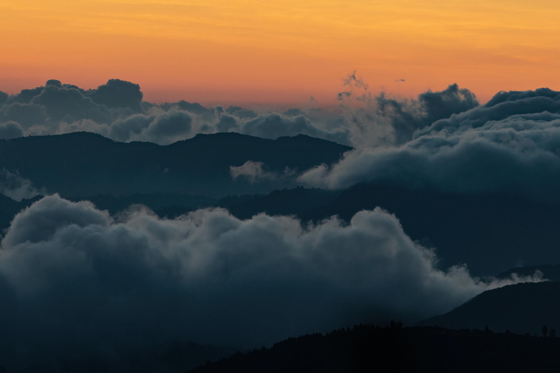 Sunrise in the heavens of Costa Rica's cloud forests during our wildlife photography tour