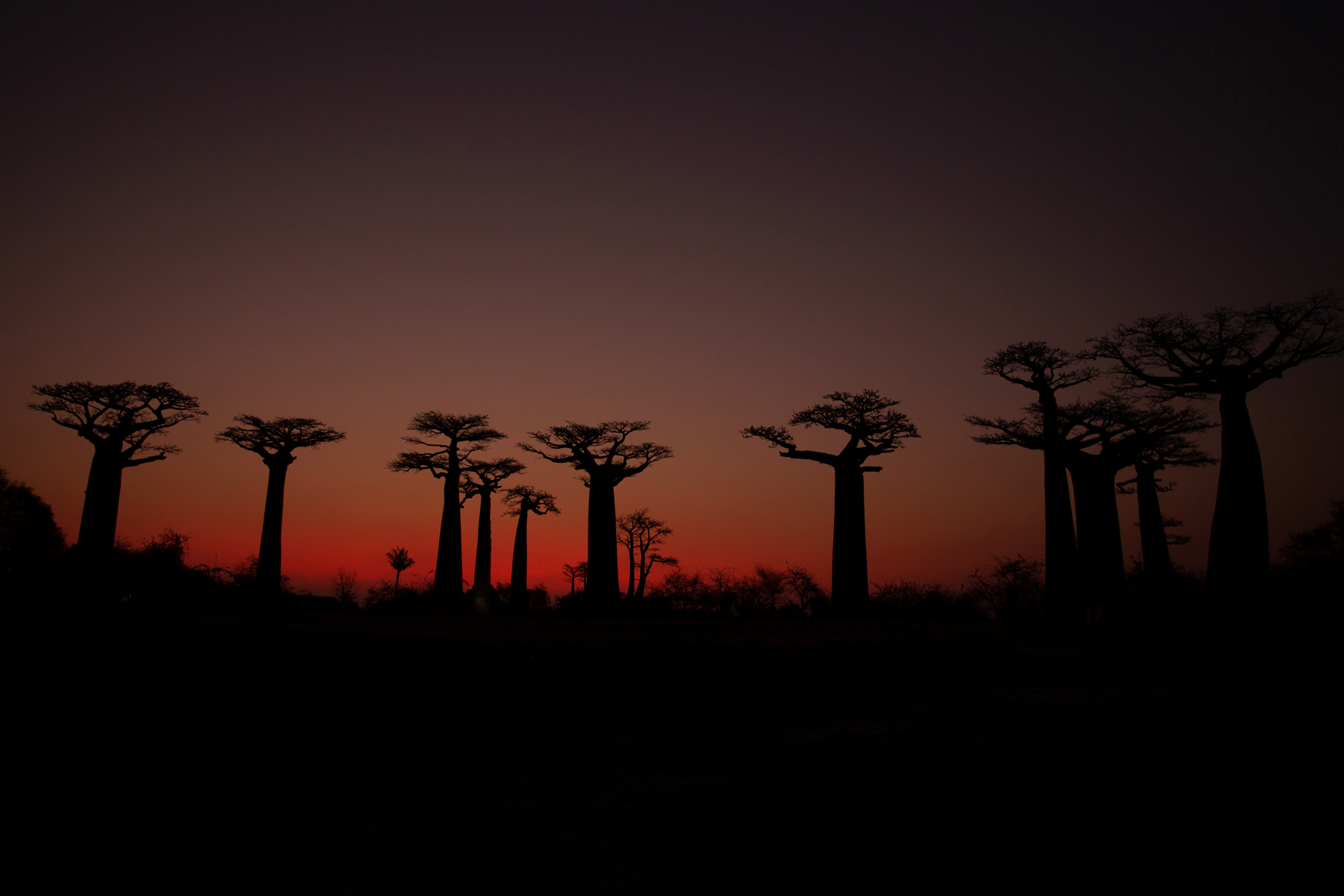 Around 20 minutes after sunset, when the crowds have hurried back to the hotels, a red orange glow appears (image by Mike Watson)