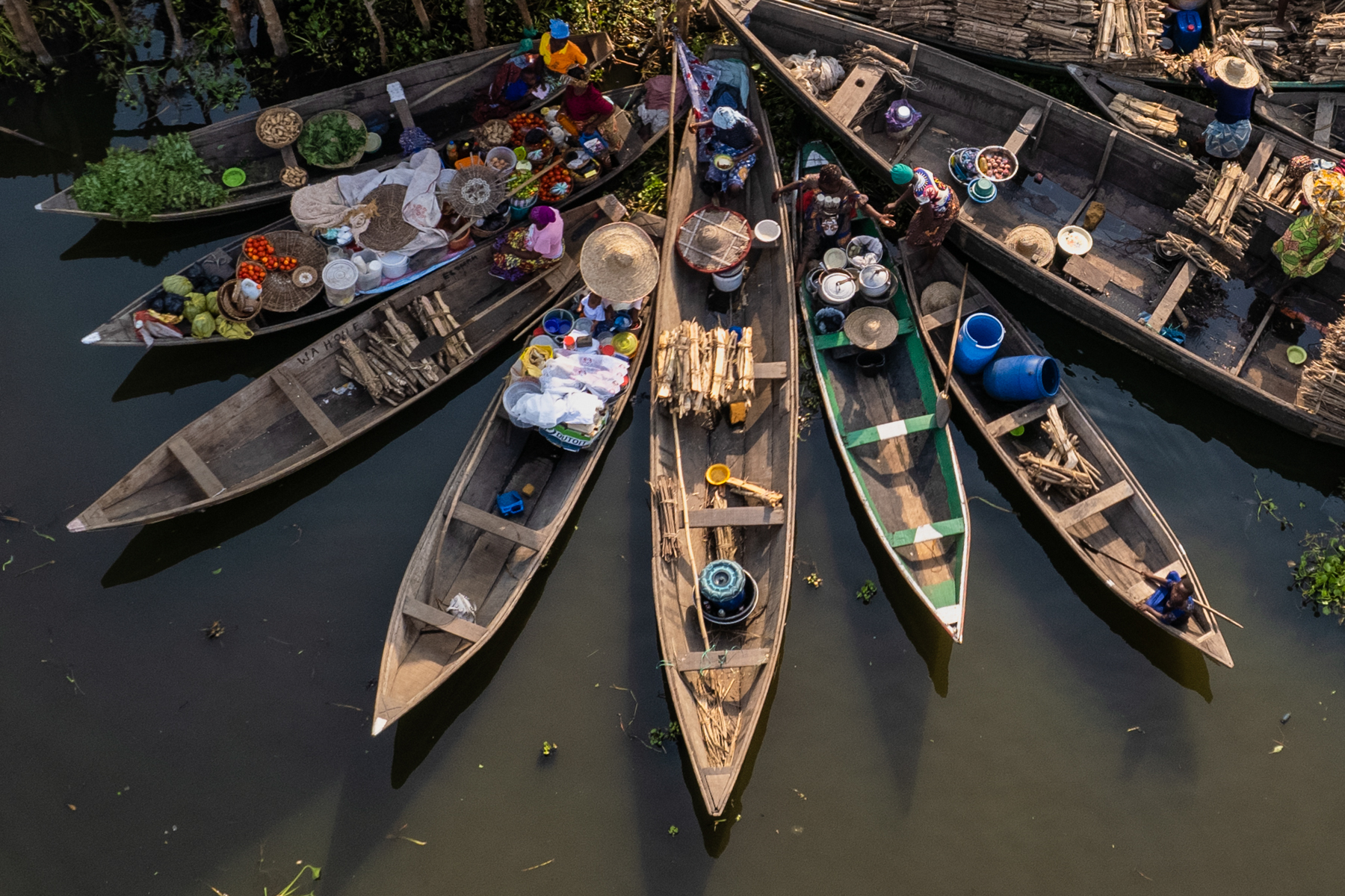 In Your Eyes - Interview with Rimma Aronov - Benin 2023 - Wild Images ...