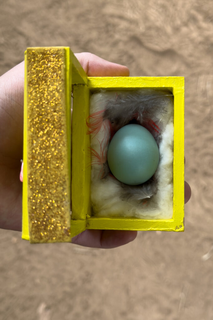 A redundant Resplendent Quetzal egg (image by Inger Vandyke)