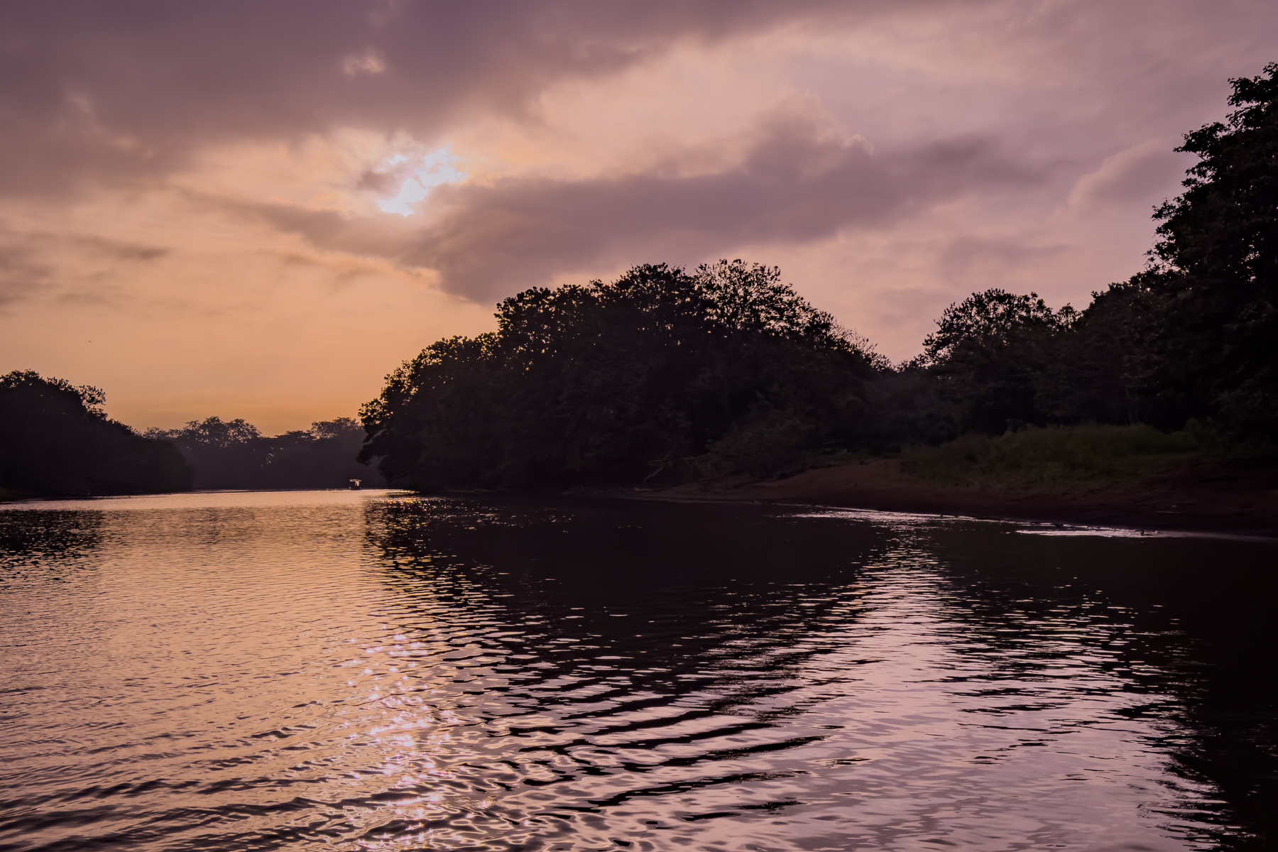 Sunrise on the Rio Frio in remote Costa Rica, close to the border of Nicaragua (image by Inger Vandyke)