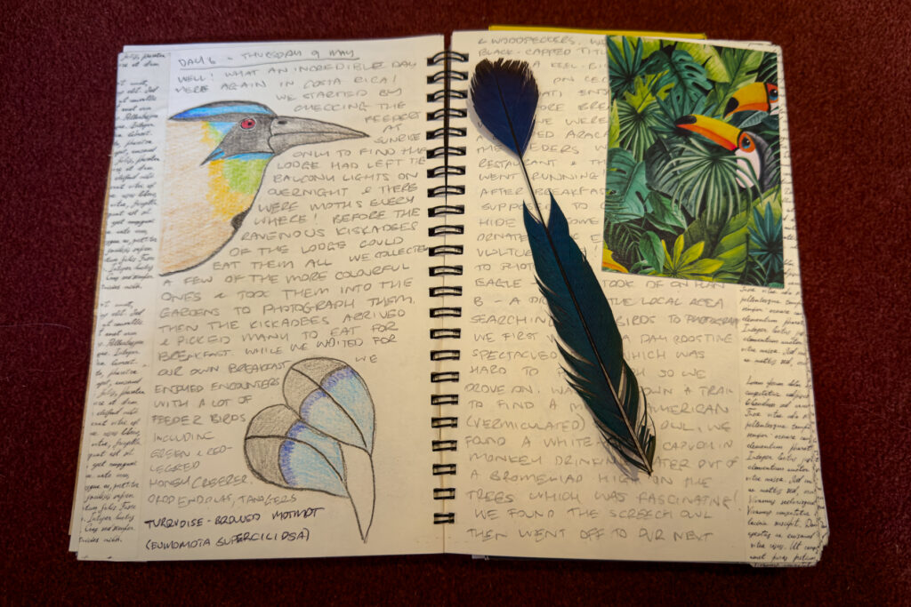 A rainforest tour leader's journal complete with Motmot tail feather! (image by Inger Vandyke)