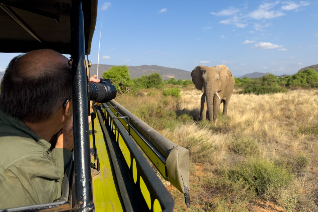 Close encounters with elephants in Samburu (image by Inger Vandyke)