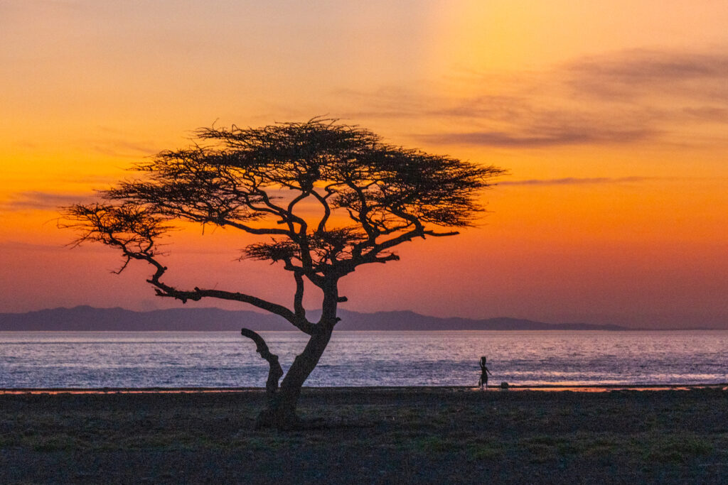 A Turkana woman collects water from the lake during a breathtaking African sunset (image by Inger Vandyke)