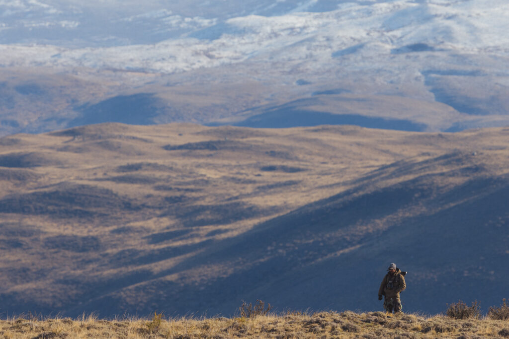 Our puma tracker - Jorge Cardenas - doing what he loves best: being in the Patagonian hills finding mountain lions (image by Gin Wilde)