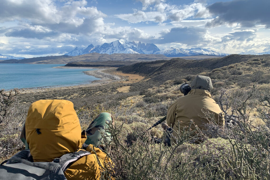 A typical crime scene, overlooking the site of a kill (image by Mike Watson)